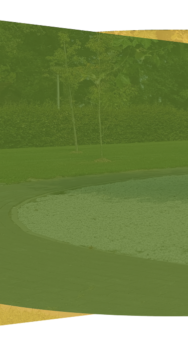 page-banner-background-mobile